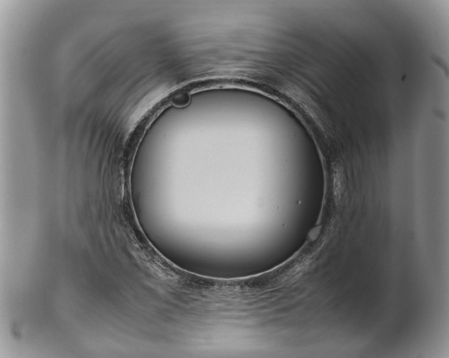 X0000102271069200808011422