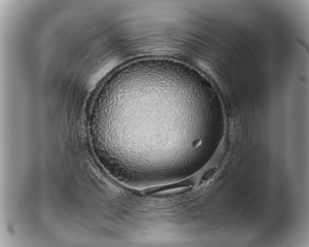 X0000102271071200808011422