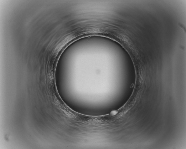 X0000102271073200808011422
