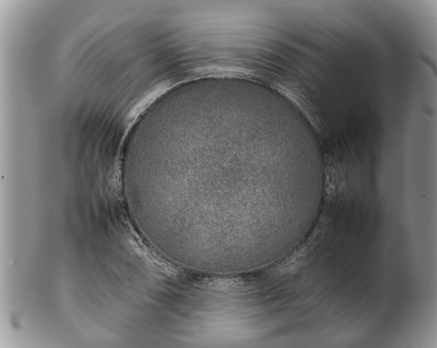 X0000102271074200808011422
