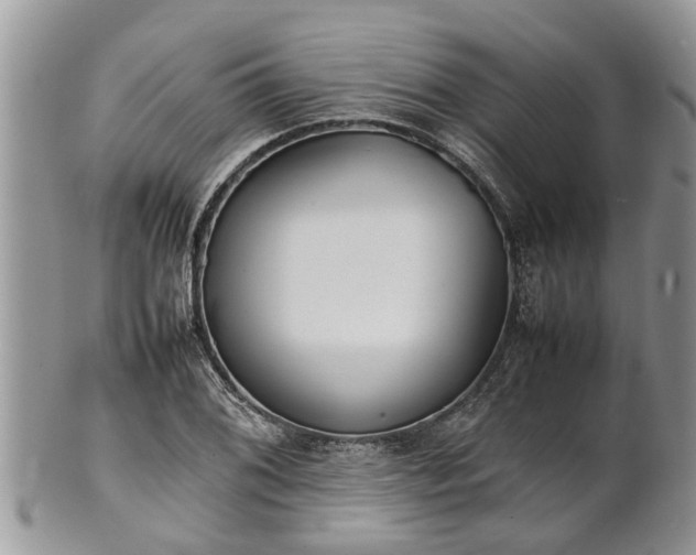 X0000102271076200808011422