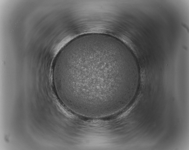 X0000102271077200808011422