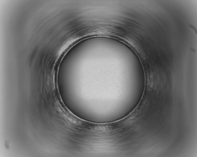 X0000102271078200808011422