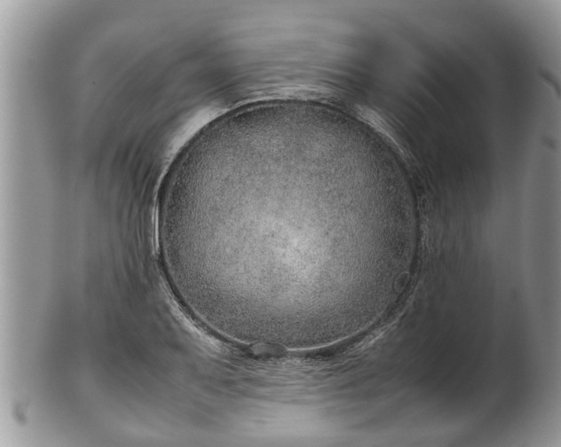X0000102271079200808011422