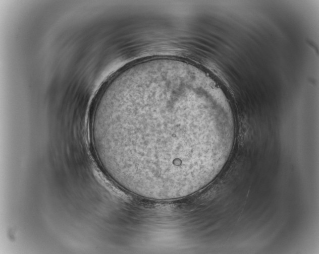 X0000102271080200808011422