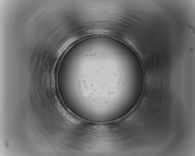 X0000102271082200808011422