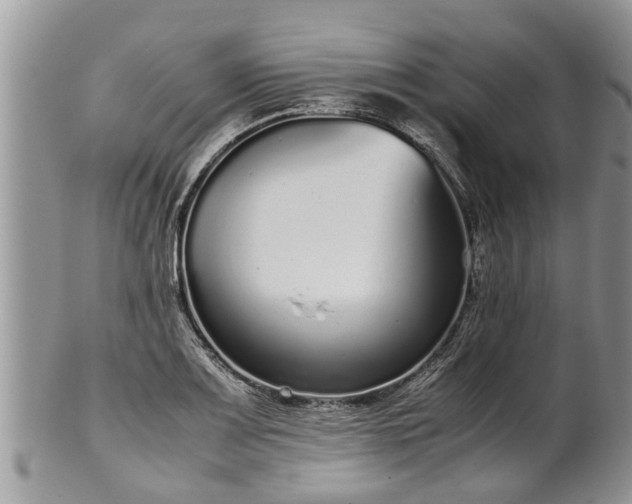 X0000102271083200808011422