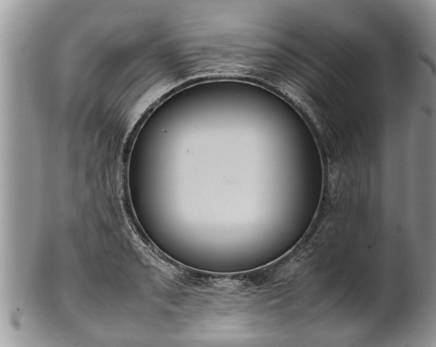 X0000102271085200808011422