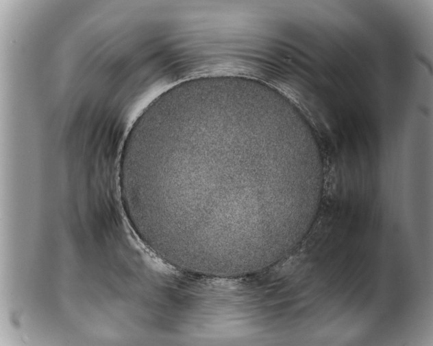 X0000102271086200808011422