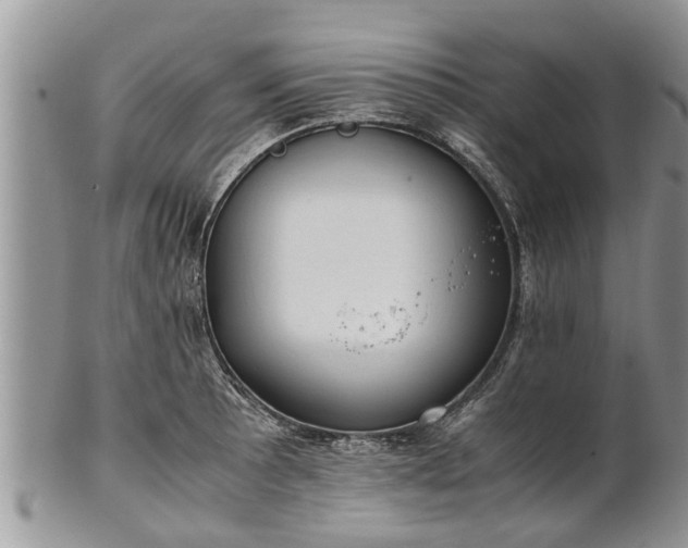 X0000102271089200808011422