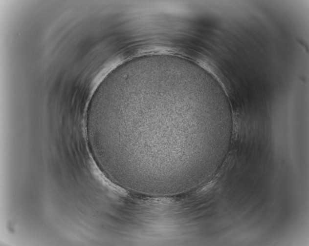 X0000102271090200808011422