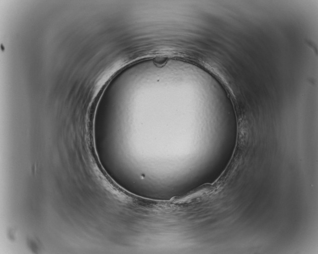 X0000102271091200808011422
