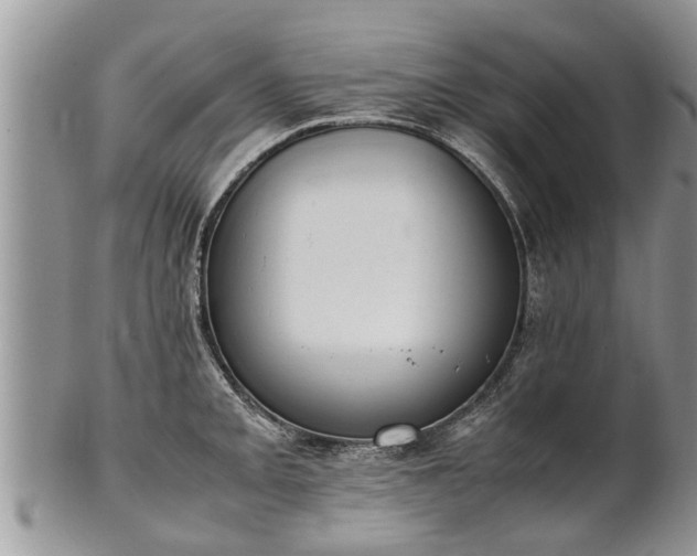 X0000102271093200808011422