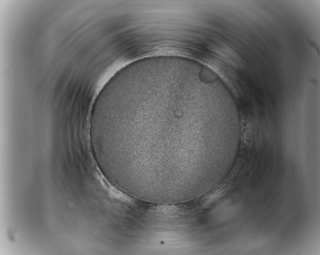 X0000102271094200808011422