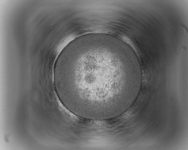 X0000102271095200808011422