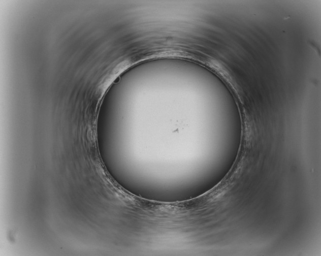 X0000102271097200808011422
