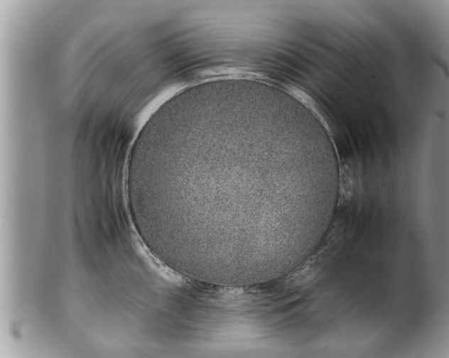 X0000102271098200808011422