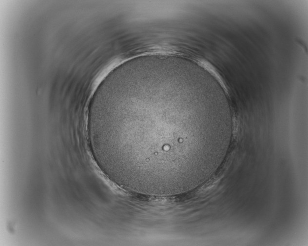 X0000102271099200808011422