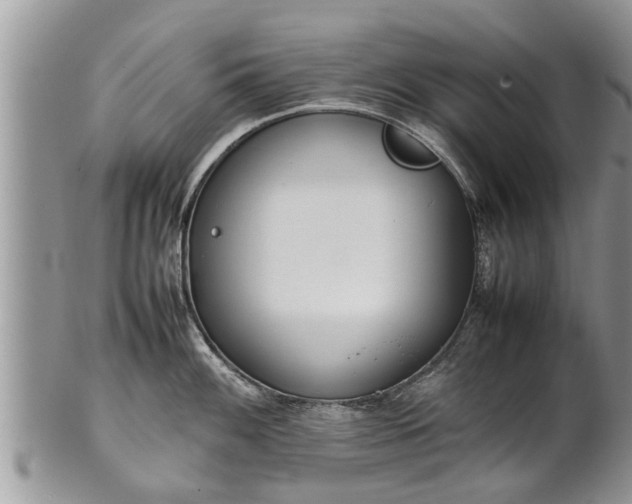 X0000102271100200808011422