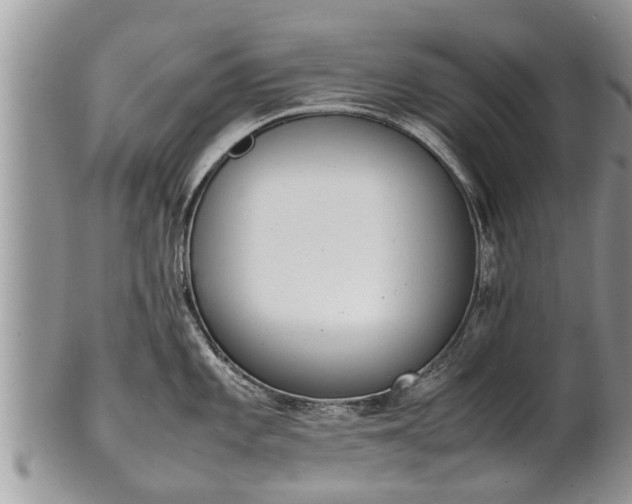 X0000102271101200808011422