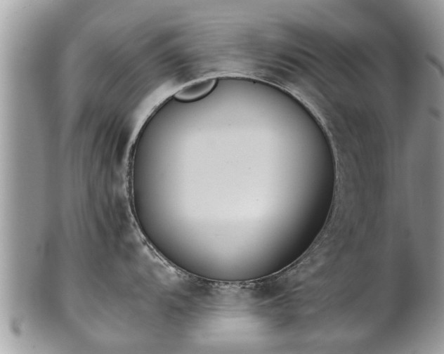 X0000102271104200808011422