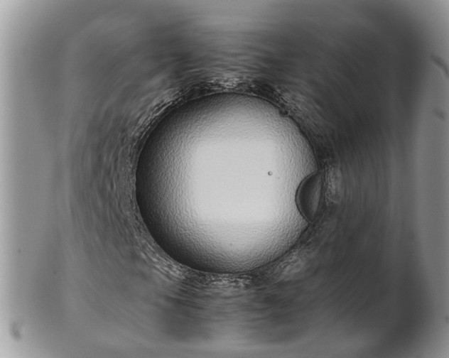 X0000102271105200808011421
