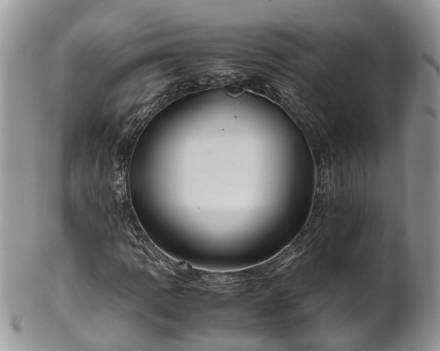 X0000102271109200808011421
