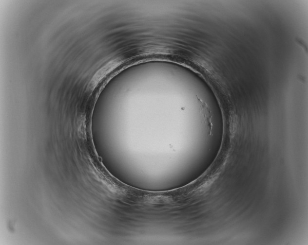 X0000102271113200808011421