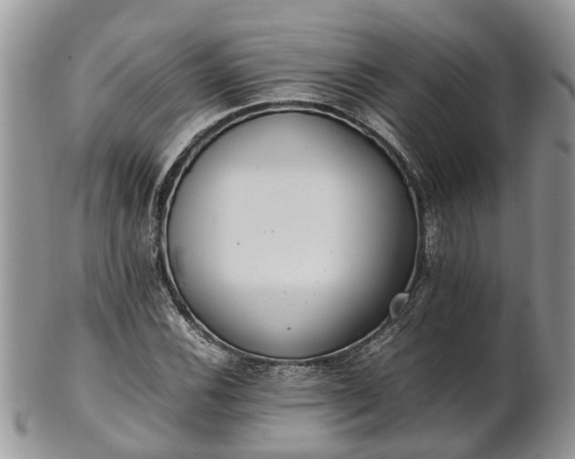 X0000102271116200808011421