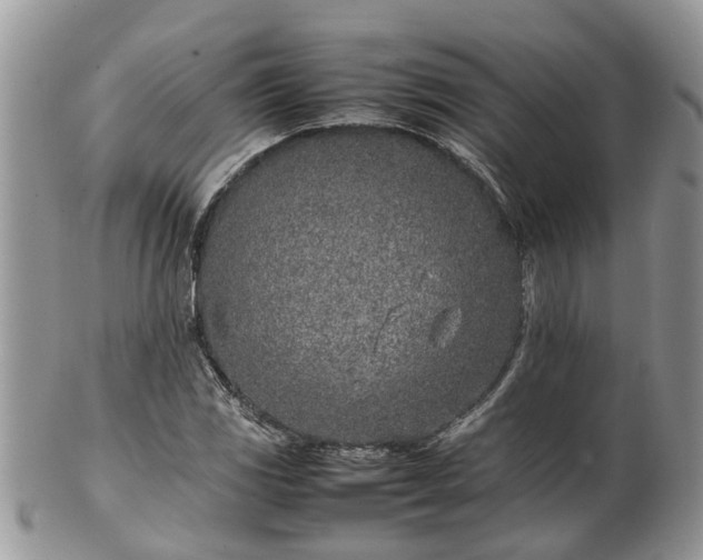 X0000102271117200808011421
