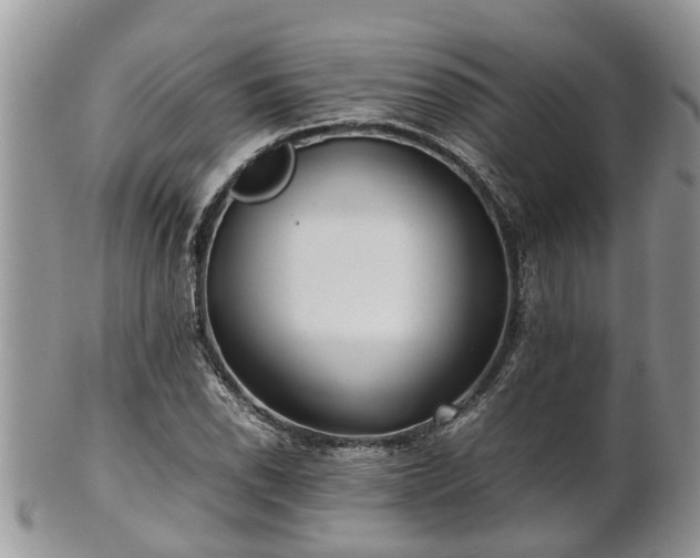 X0000102271118200808011421