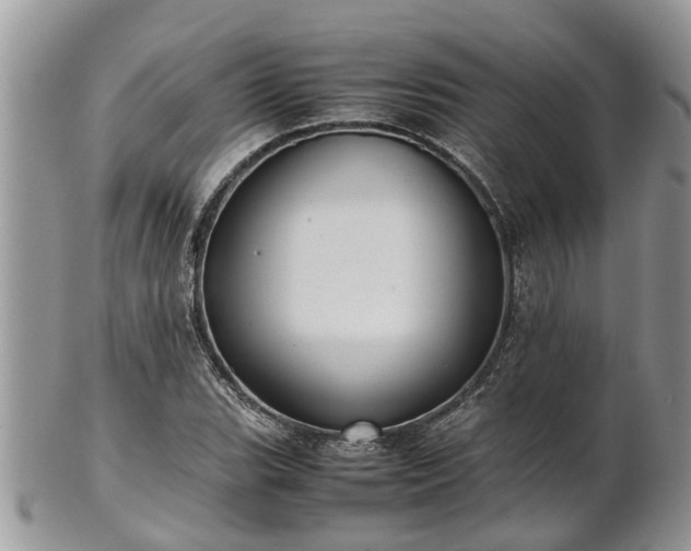 X0000102271119200808011421