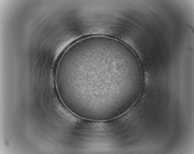X0000102271120200808011421