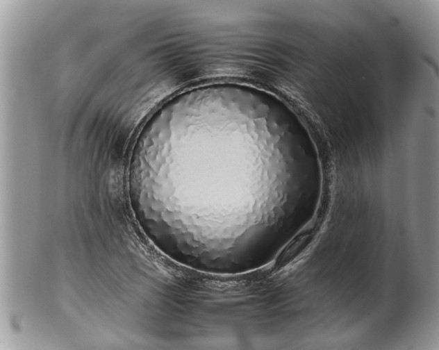 X0000102271121200808011421