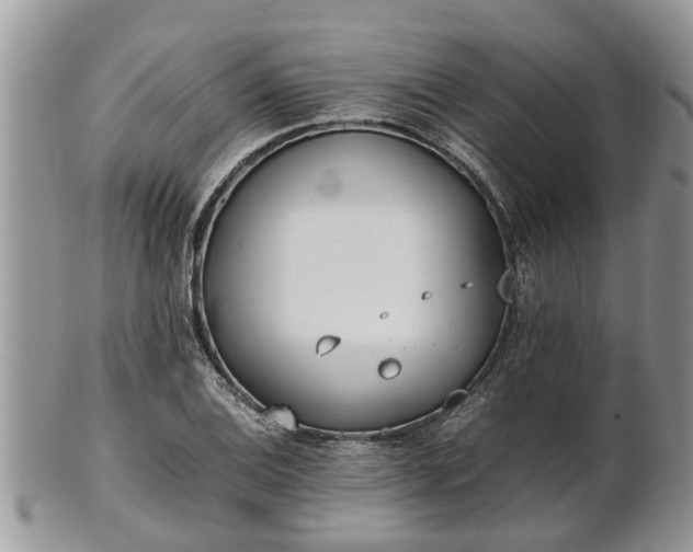 X0000102271124200808011421