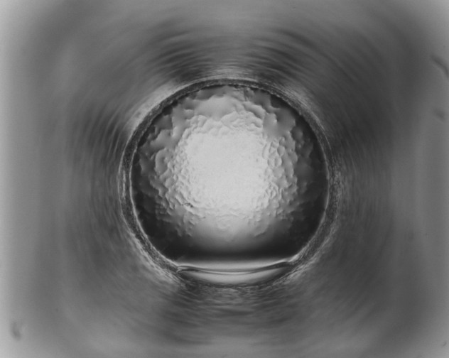 X0000102271125200808011421