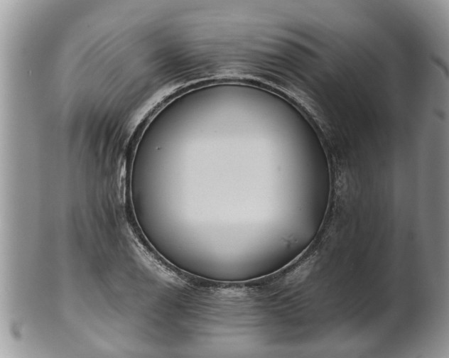 X0000102271126200808011421