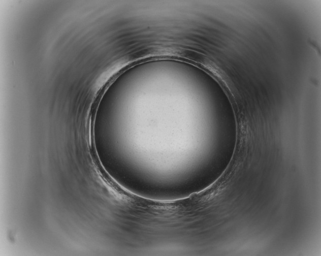 X0000102271127200808011421