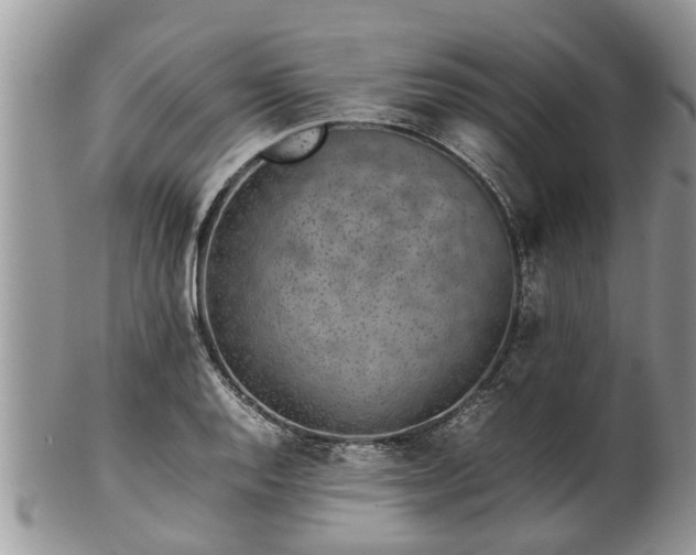X0000102271128200808011421