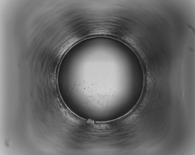 X0000102271129200808011421