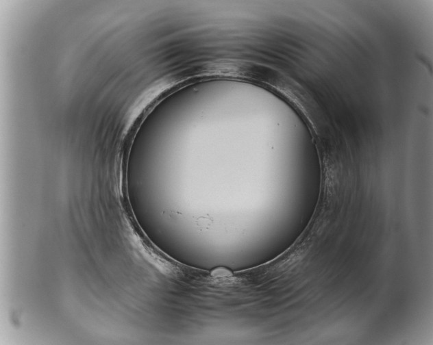 X0000102271131200808011421