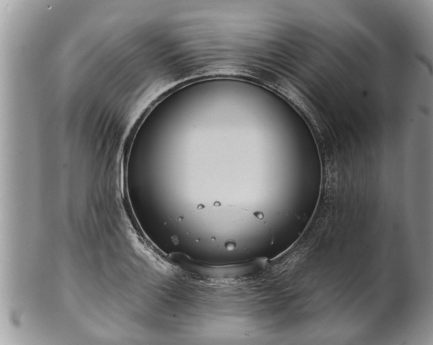 X0000102271132200808011421