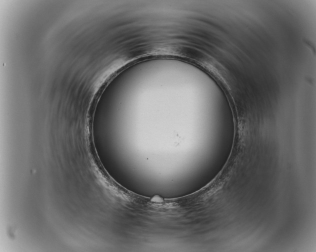 X0000102271133200808011421