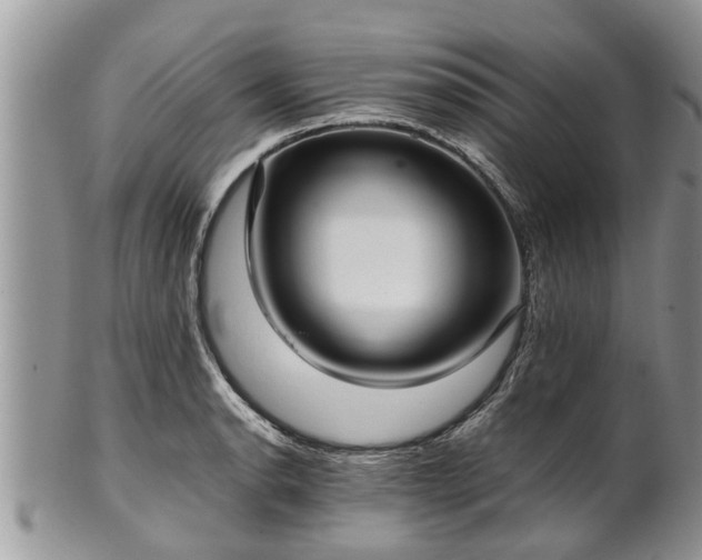 X0000102271134200808011421