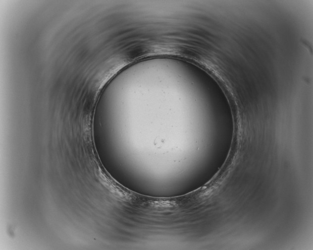 X0000102271137200808011422