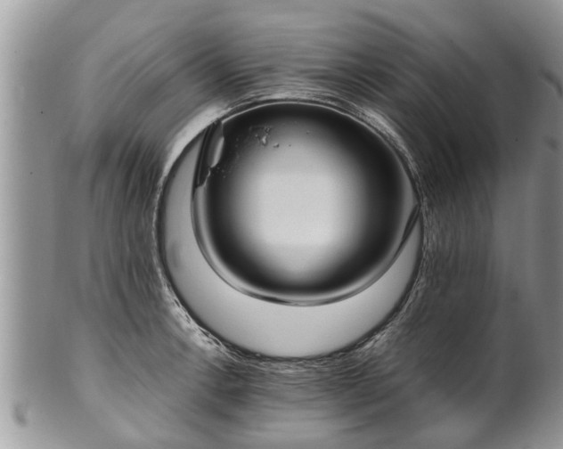 X0000102271138200808011422