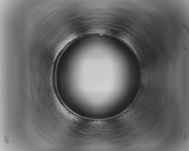 X0000102271139200808011422