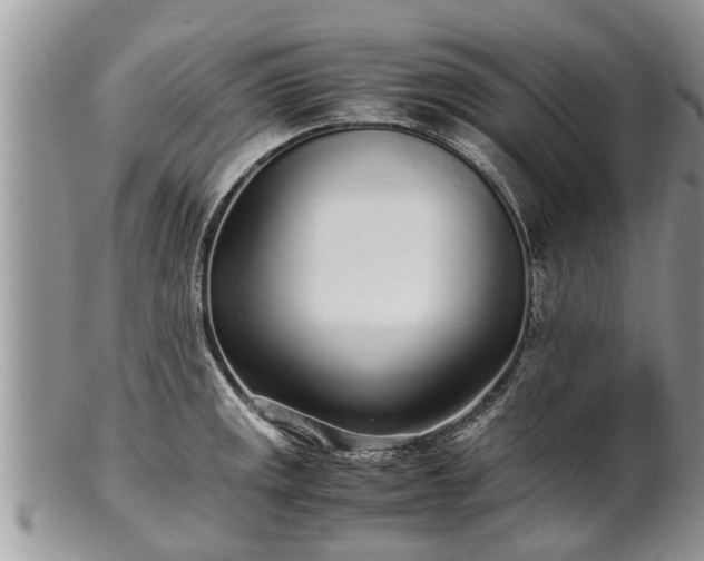 X0000102271141200808011422