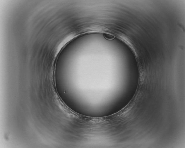 X0000102271146200808011422