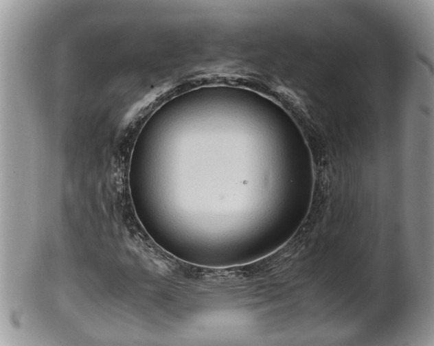 X0000102271159200808011421